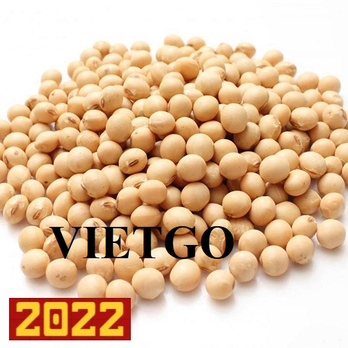 Cơ hội xuất khẩu hạt đậu nành với số lượng lớn đến thị trường Trung Quốc
