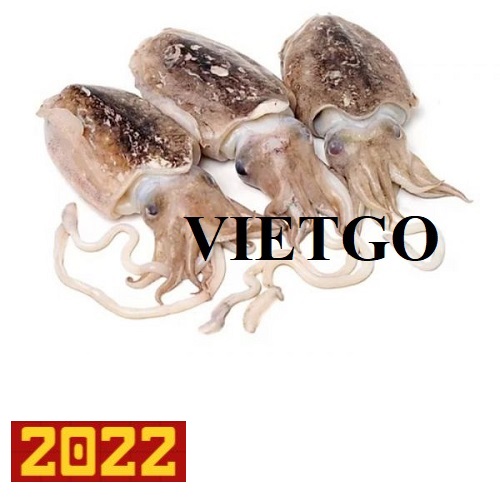 Cơ hội cung cấp mực nang cho vị khách hàng đến từ Qatar