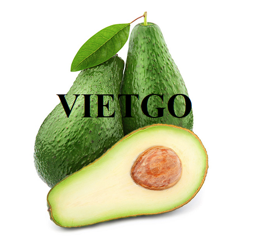 Cơ hội hợp tác với doanh nghiệp Trung Quốc cho đơn hàng xuất khẩu bơ tươi với số lượng lớn