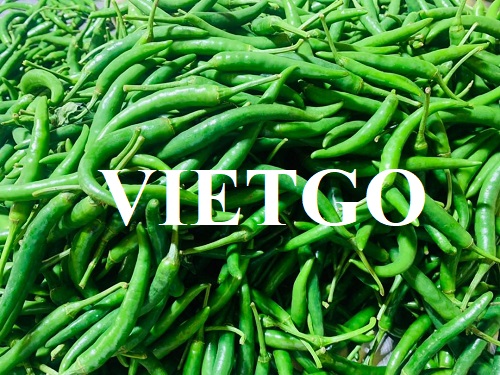 Cơ hội hợp tác với doanh nghiệp Tây Ban Nha cho đơn hàng ớt xanh