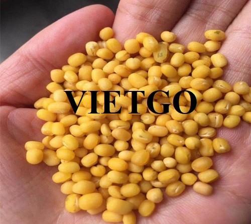 Cơ hội xuất khẩu mặt hàng đậu xanh đến thị trường Mỹ