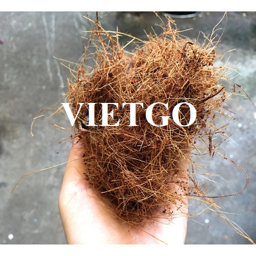 Thương vụ xuất khẩu xơ dừa sang thị trường Peru