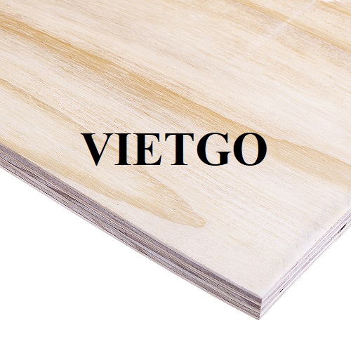 (Gấp) Thương vụ xuất khẩu mặt hàng gỗ dán sang thị trường Mexico