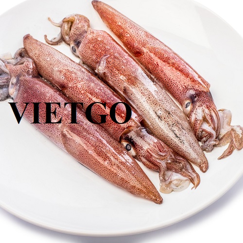 Cơ hội xuất khẩu mực ống hàng tháng cho một doanh nghiệp đến từ Canada