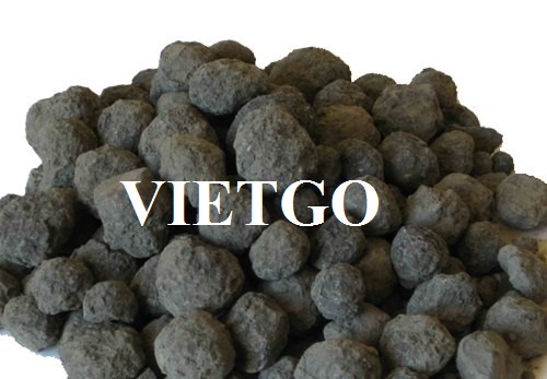 Cơ hội giao thương xuất khẩu clinker sang thị trường Trung Quốc
