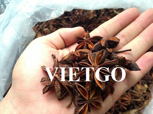 Thương vụ xuất khẩu hoa hồi sang thị trường Nhật Bản