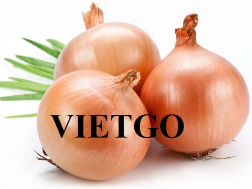Cơ hội hợp tác với doanh nghiệp tại Haiti cho đơn hàng xuất khẩu hành