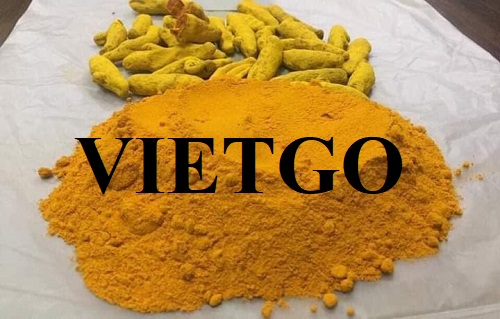 Cơ hội hợp tác với doanh nghiệp lớn tại Ấn Độ cho đơn hàng bột nghệ