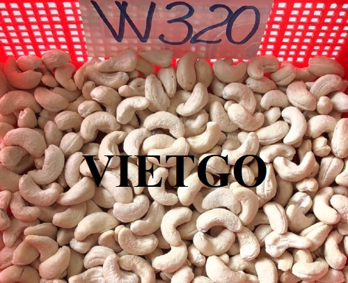 Cơ hội hợp tác với vị khách hàng đến từ UAE cho đơn hàng nhập khẩu hạt điều