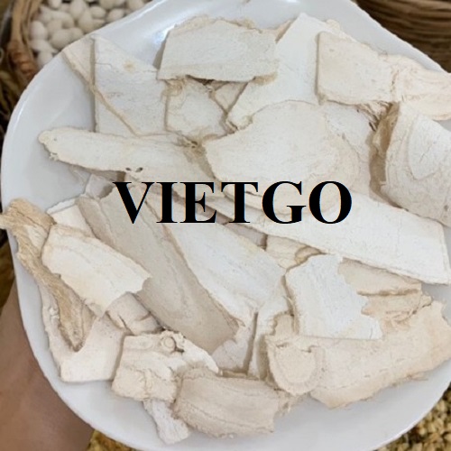 Cơ hội hợp tác đến từ một doanh nhân người Malaysia cho đơn hàng xuất khẩu sắn lát