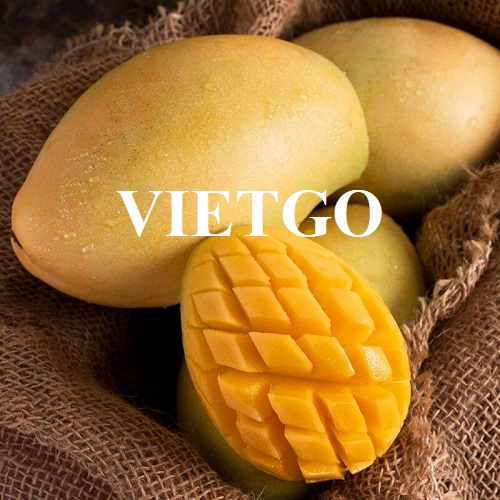Cơ hội hợp tác với vị khách hàng người Tây Ban Nha cho đơn hàng xuất khẩu xoài tươi sang thị trường Đức