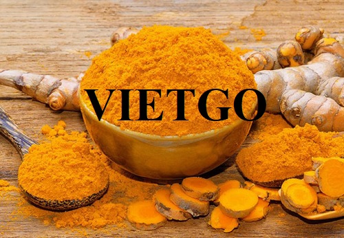 Cơ hội hợp tác xuất khẩu bột nghệ đến từ vị khách hàng người Anh