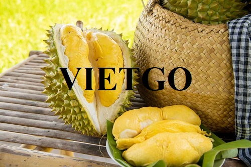 Cơ hội hợp tác với vị khách hàng người Tây Ban Nha cho đơn hàng xuất khẩu sầu riêng sang thị trường Đức