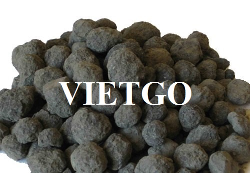 Cơ hội giao thương xuất khẩu clinker hàng tháng sang thị trường Nga