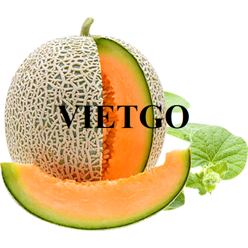 Cơ hội trở thành nhà cung cấp cho đơn hàng xuất khẩu dưa lưới sang thị trường Đức