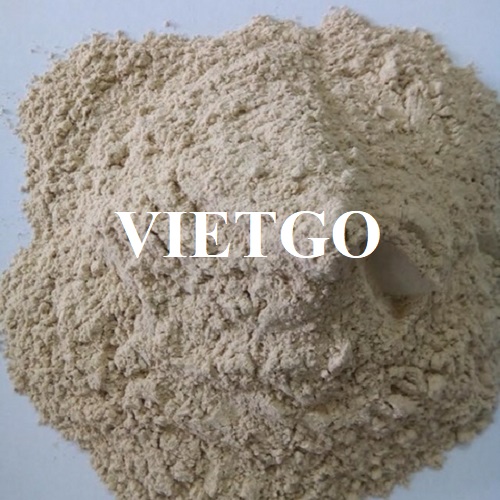 Cơ hội hợp tác xuất khẩu bã sắn đến thị trường Trung Quốc