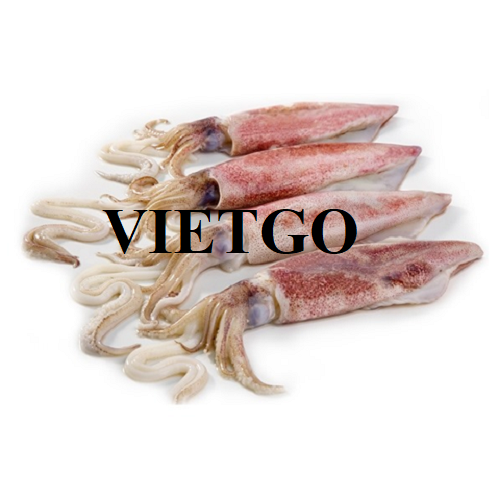Cơ hội xuất khẩu mực ống sang thị trường Trung Quốc