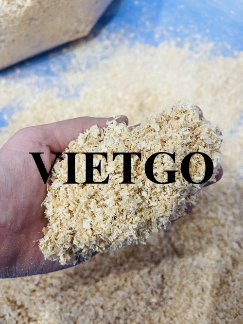 Cơ hội xuất khẩu dăm bào và mùn cưa hàng tháng sang thị trường Hàn Quốc