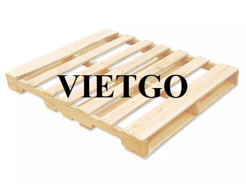 Vị thương nhân người Mexico cần nhập khẩu pallet gỗ để phục vụ dự án kinh doanh sắp tới