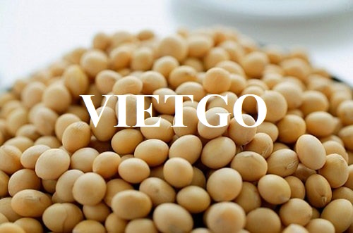 Cơ hội xuất khẩu đậu nành sang thị trường Trung Quốc và Pháp