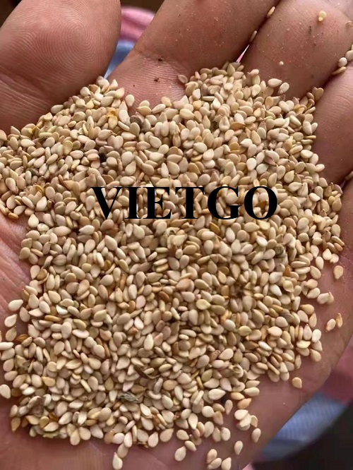 Thương vụ xuất khẩu hạt mè sang thị trường Trung Quốc