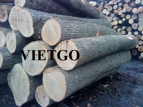 Vị thương nhân người Tây Ban Nha cần nhập khẩu gỗ tần bì tròn cho dự án sắp tới