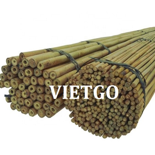 Cơ hội xuất khẩu 1 container 40ft gậy tre sang thị trường Lebanon