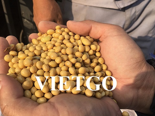 Cơ hội hợp tác với doanh nghiệp tại UAE cho đơn hàng nhập khẩu hạt đậu nành