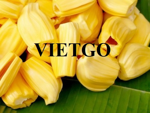 Cơ hội hợp tác với vị khách hàng người Tây Ban Nha cho đơn hàng xuất khẩu mít sang thị trường Đức