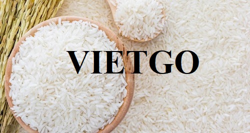 Đối tác người Đức cần tìm nhà cung cấp cho đơn hàng gạo trắng với số lượng lớn