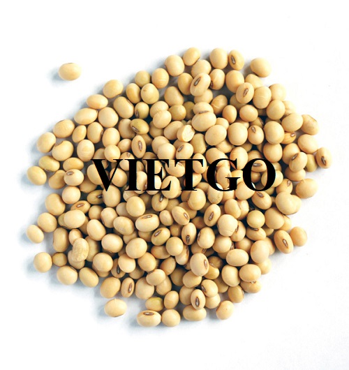Cơ hội hợp tác xuất khẩu sản phẩm đậu nành đến thị trường Trung Quốc