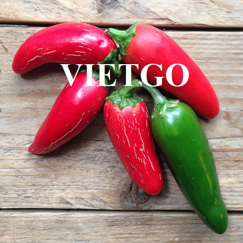 Cơ hội hợp tác với vị khách hàng người Mỹ cho sản phẩm ớt tươi