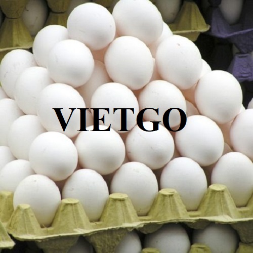 Cơ hội hợp tác với vị khách hàng người UAE cho đơn hàng xuất khẩu trứng gà