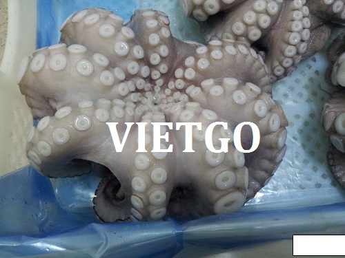 Thương vụ xuất khẩu bạch tuộc cho một công ty có trụ sở tại Tây Ban Nha