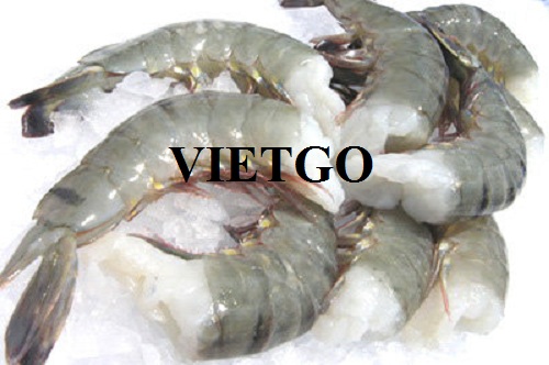 Cơ hội giao thương xuất khẩu tôm thẻ chân trắng sang thị trường Nga
