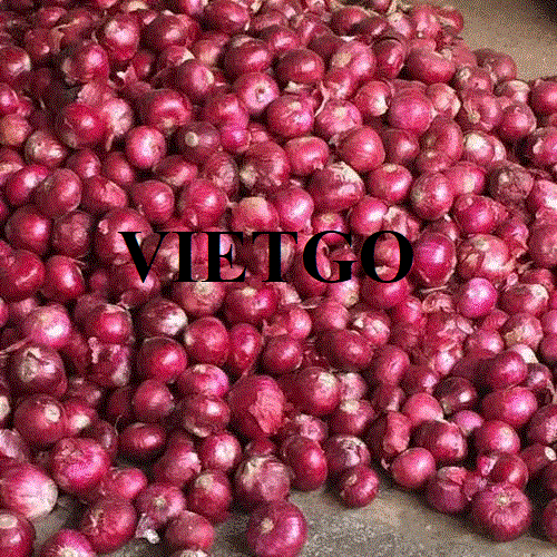 Thương vụ xuất khẩu hành tím sang thị trường Ấn Độ