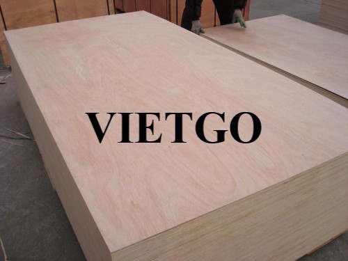Cơ hội hợp tác với một doanh nghiệp tại UAE cho đơn hàng nhập khẩu gỗ dán hàng hải