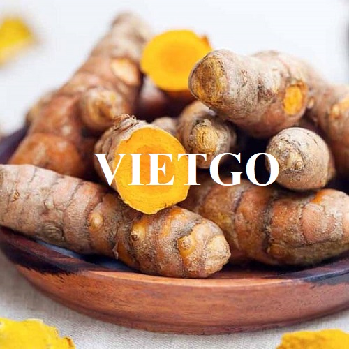 Cơ hội trở thành nhà cung cấp cho đơn hàng xuất khẩu nghệ tươi sang Cộng hòa Séc