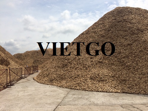 Thương vụ xuất khẩu 10.000 tấn gỗ vụn sang thị trường Hàn Quốc và Nhật Bản