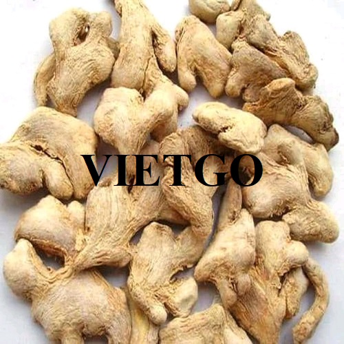 Cơ hội xuất khẩu gừng đến từ vị khách hàng người UAE
