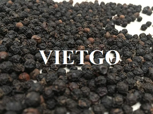 Cơ hội hợp tác với doanh nghiệp tại Trung Quốc để xuất khẩu sản phẩm tiêu đen