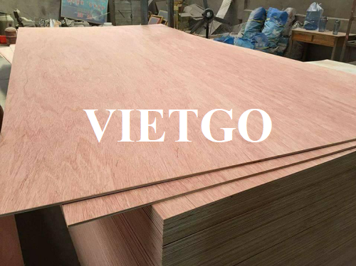 Cơ hội xuất khẩu gỗ dán đến từ doanh nghiệp gỗ của Pháp