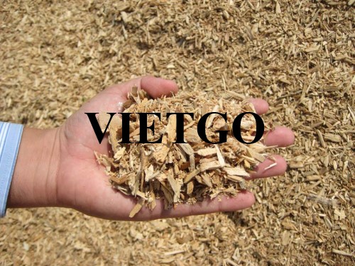 Thương vụ xuất khẩu gỗ vụn hàng tháng sang thị trường Đan Mạch