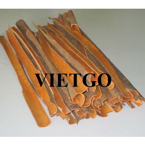 Cơ hội hợp tác với doanh nghiệp tại Ấn Độ cho đơn hàng xuất khẩu quế, hồi