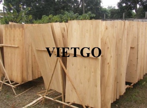 Thương vụ xuất khẩu 4 container 40'HC ván bóc gỗ keo và gỗ bạch đàn sang thị trường Trung Quốc