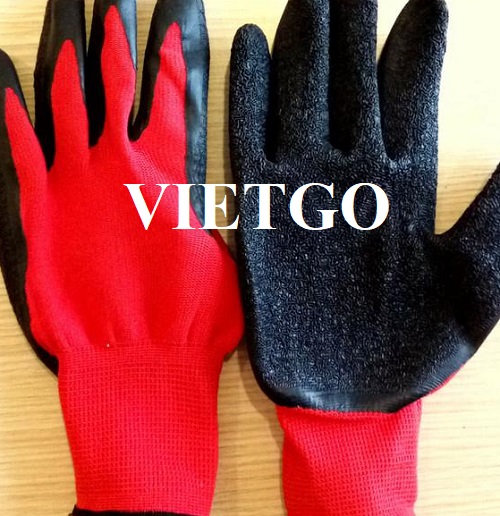 Cơ hội xuất khẩu găng tay lao động cho một công ty tại Đức
