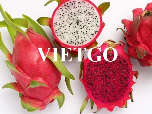 Thương vụ hợp tác với doanh nghiệp Singapore cho đơn hàng xuất khẩu thanh long tươi