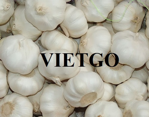 Cơ hội giao thương tiềm năng xuất khẩu mặt hàng tỏi trắng đến thị trường Malaysia