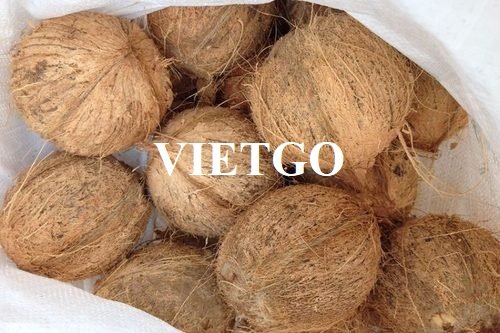 Cơ hội hợp tác với doanh nghiệp tại UAE cho đơn hàng xuất khẩu dừa