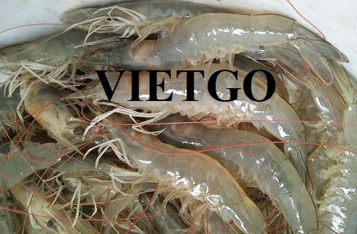 Thương vụ xuất khẩu tôm sang thị trường UAE và Bỉ